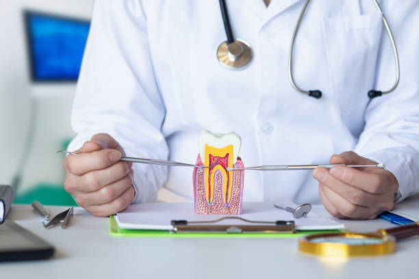 Best Emergency Dental Care for Broken or Chipped Teeth in Brownwood, TX